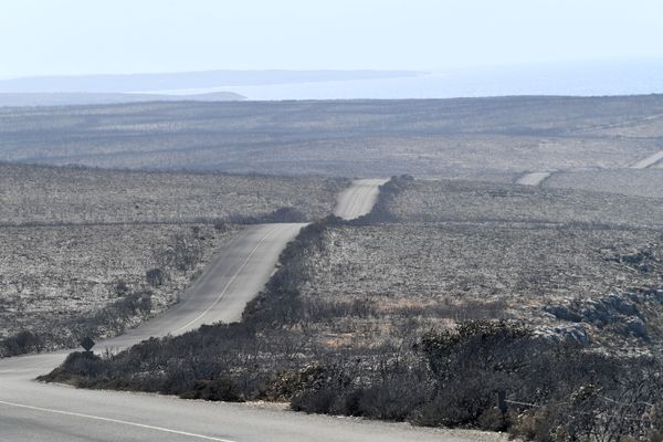Национальный парк Флиндерс-Чейз на острове Кенгуру поле лестных пожаров в Австралии - Sputnik Азербайджан