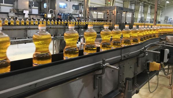 Bakı Yağ Fabriki - Sputnik Азербайджан