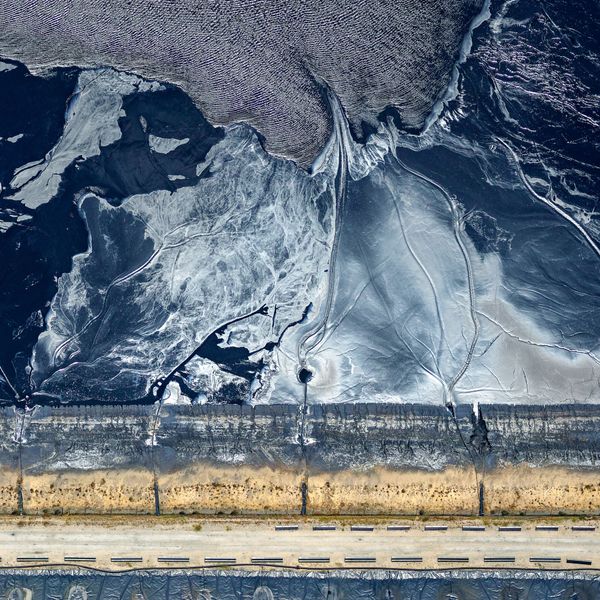 Снимок Toxic Beauty фотографа Alex Ham, победивший в категории Photo of the Year конкурса 2019 Photographer of the Year Presented by Panasonic - Sputnik Азербайджан