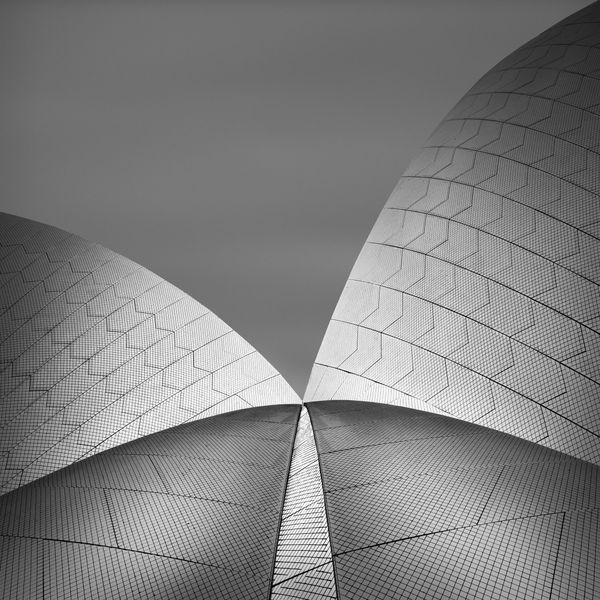 Снимок Sails in the sky фотографа Allen Koppe, победивший в категории Black and White конкурса 2019 Photographer of the Year Presented by Panasonic - Sputnik Азербайджан