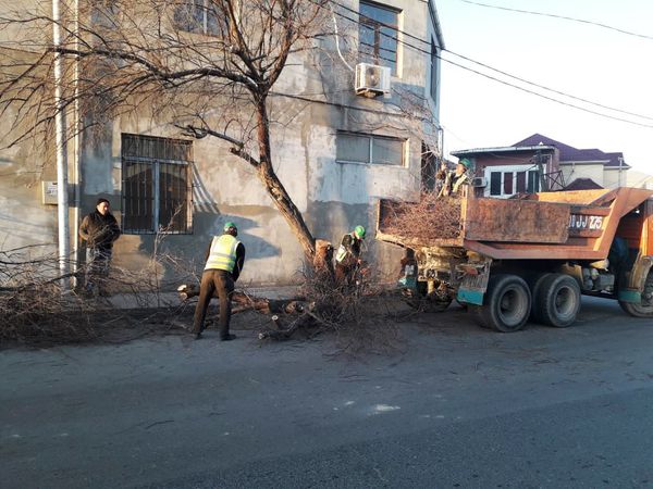 Город ветров такого не ожидал: автовокзал и Baktelecom остались без крыш, повалены деревья - Sputnik Азербайджан