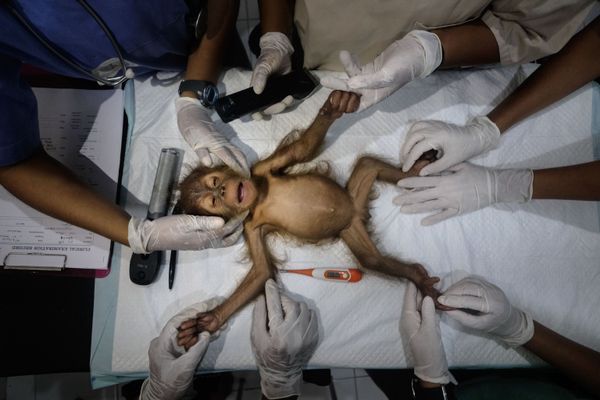 Снимок Saving Orangutans фотографа Alain Schroeder, ставший финалистом конкурса 162nd International Photography Exhibition - Sputnik Азербайджан
