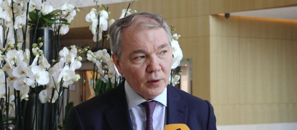 Придраться было не к чему - глава комитета Госдумы РФ о выборах в Азербайджане - Sputnik Азербайджан