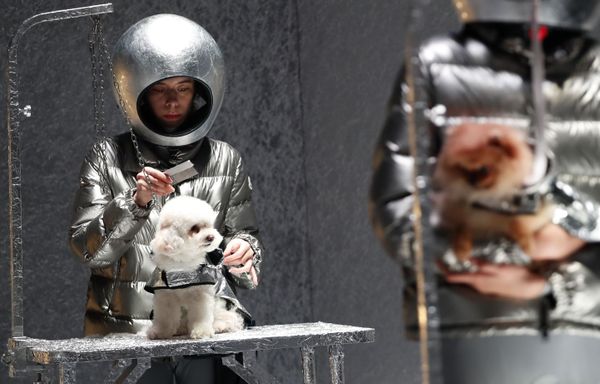Модели и собаки представляют коллекцию Moncler на неделе моды в Милане - Sputnik Азербайджан