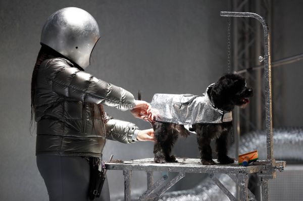 Модели представляют коллекцию Moncler на неделе моды в Милане - Sputnik Азербайджан