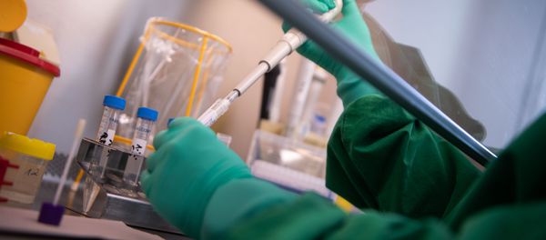 A laborant at the State Health Authorities of Baden-Wuerttemberg works on a test sample of a  suspected case of the 2019 Novel Coronavirus (2019-nCoV)  - Sputnik Азербайджан