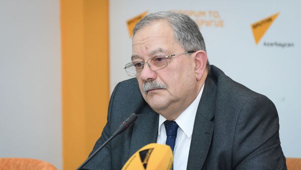 Руководитель экспертного совета Baku Network, доктор философии Эльхан Алескеров - Sputnik Азербайджан