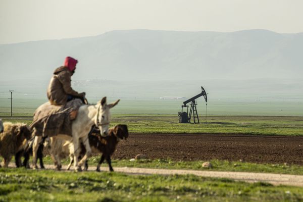 Пастух на осле едет мимо нефтяного месторождения в Сирии - Sputnik Азербайджан