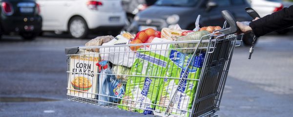 Покупатель с тележкой, наполненной продуктами в супермаркете - Sputnik Азербайджан