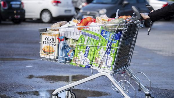 Покупатель с тележкой, наполненной продуктами в супермаркете - Sputnik Азербайджан