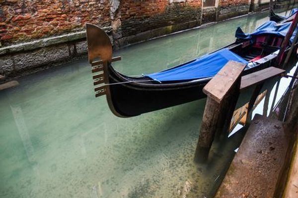 Без людей Венеции лучше: вода в каналах стала чистой, появились рыбы - видео - Sputnik Азербайджан