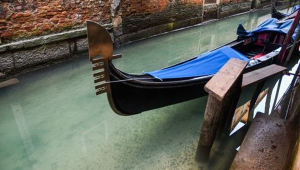 Без людей Венеции лучше: вода в каналах стала чистой, появились рыбы - видео - Sputnik Азербайджан
