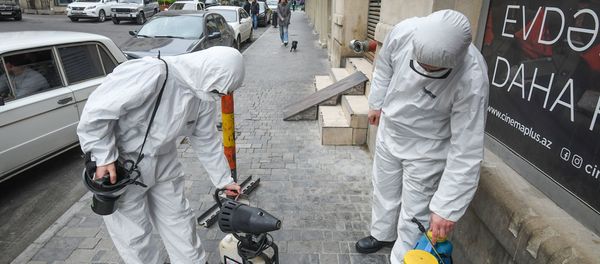 Dezinfeksiya işləri Dezinfeksiya işləri - Sputnik Азербайджан