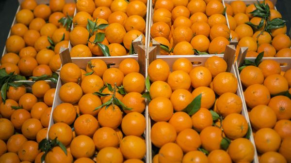 Продажа апельсинов, фото из архива - Sputnik Азербайджан