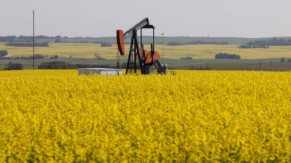 Нефтяная качалка, фото из архива - Sputnik Азербайджан