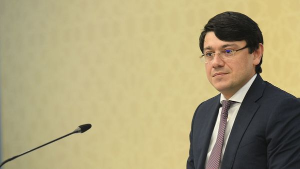 Председатель Государственного комитета по работе с диаспорой Фуад Мурадов - Sputnik Азербайджан