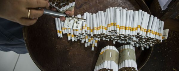  Завод по производству табачной продукции, фото из архива - Sputnik Азербайджан