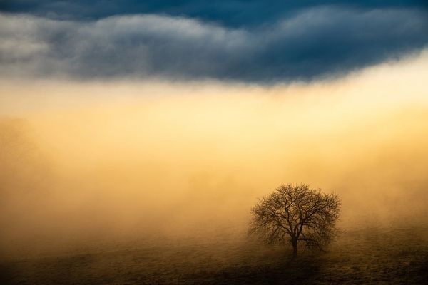Снимок Magic light фотографа Benjain Waldmann, победивший в категории Landscapes в конкурсе GDT Nature Photographer of the Year 2020 - Sputnik Азербайджан