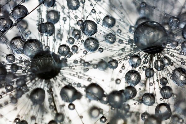 Снимок Collision фотографа Birgit Potthoff, ставший третьим в категории Special Category Water в конкурсе GDT Nature Photographer of the Year 2020 - Sputnik Азербайджан