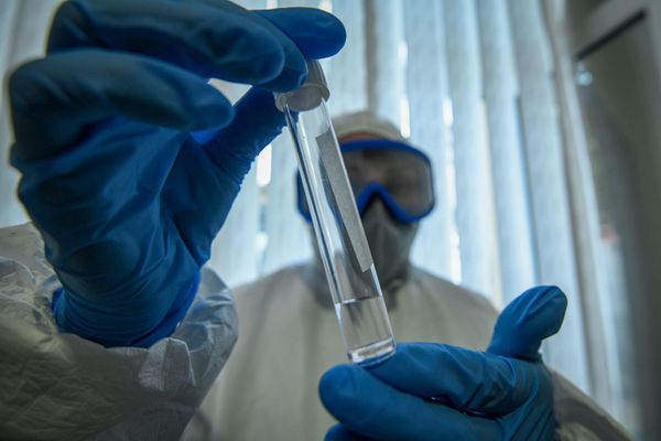  Koronavirus testi aparan tibb işçisi - Sputnik Азербайджан
