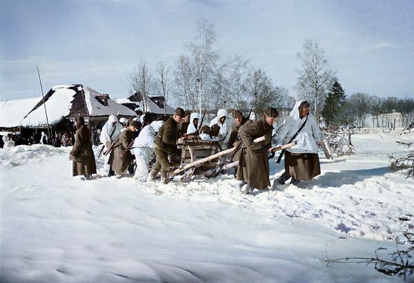 Однополчане, запрягшись в сани, везут раненных в медпункт, 1942 год - Sputnik Азербайджан
