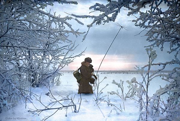Налаживание связи на передовой, 1941 год - Sputnik Азербайджан