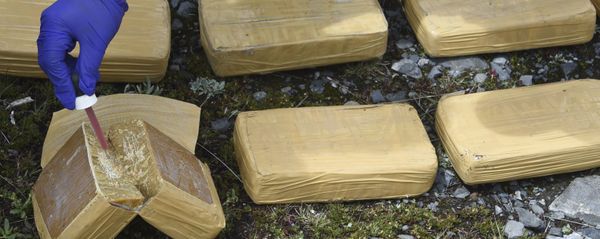Сотрудники правоохранительных органов готовятся к сжиганию кокаина и марихуаны, фото из архива - Sputnik Азербайджан