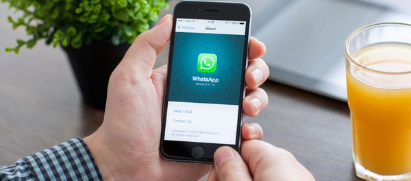 Мужчина держит смартфон iPhone 6 с WhatsApp на экране - Sputnik Азербайджан