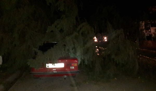 Энергетикам пришлось бороться с последствиями сильного ветра на западе страны - видео - Sputnik Азербайджан