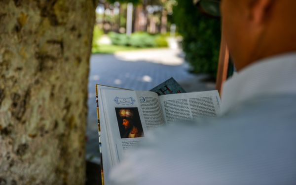Little Free Library в Нафталане - Sputnik Азербайджан