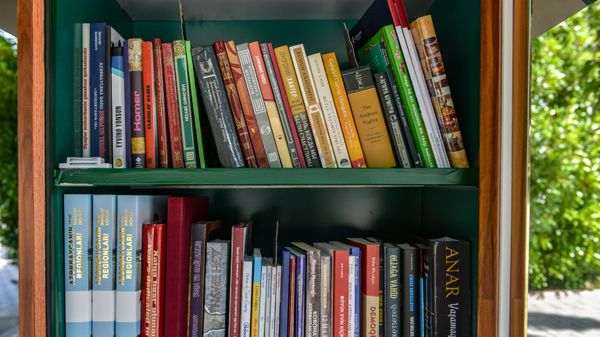 Naftalanda “Little Free Library” (“Kiçik Pulsuz Kitabxana”)  - Sputnik Азербайджан