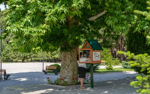 Little Free Library в Нафталане - Sputnik Азербайджан