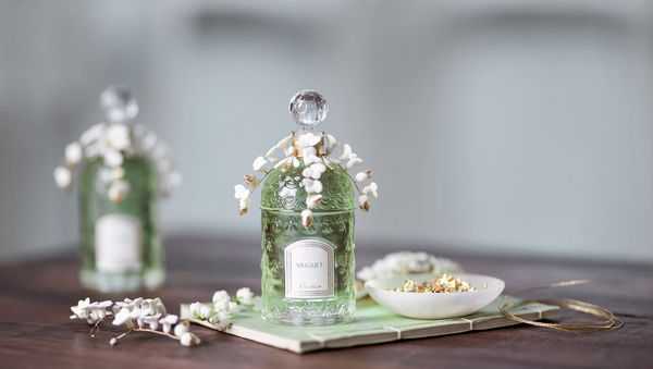 Дом Guerlain выпустил новую коллекционную версию культового аромата Miguet - Sputnik Азербайджан