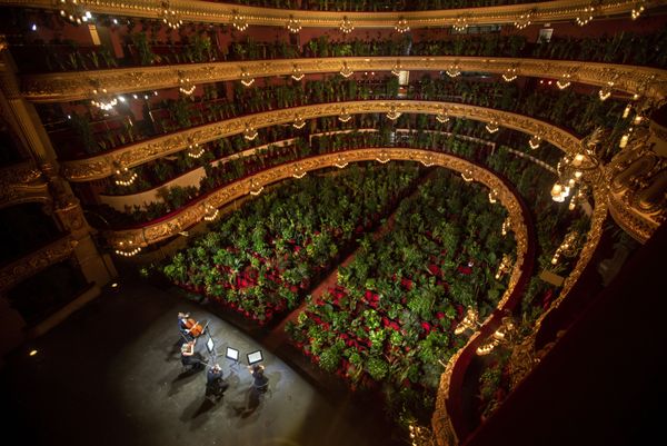 Музыканты репетируют в Gran Teatre del Liceu в Барселоне, где места в зале заняты растениями - Sputnik Азербайджан