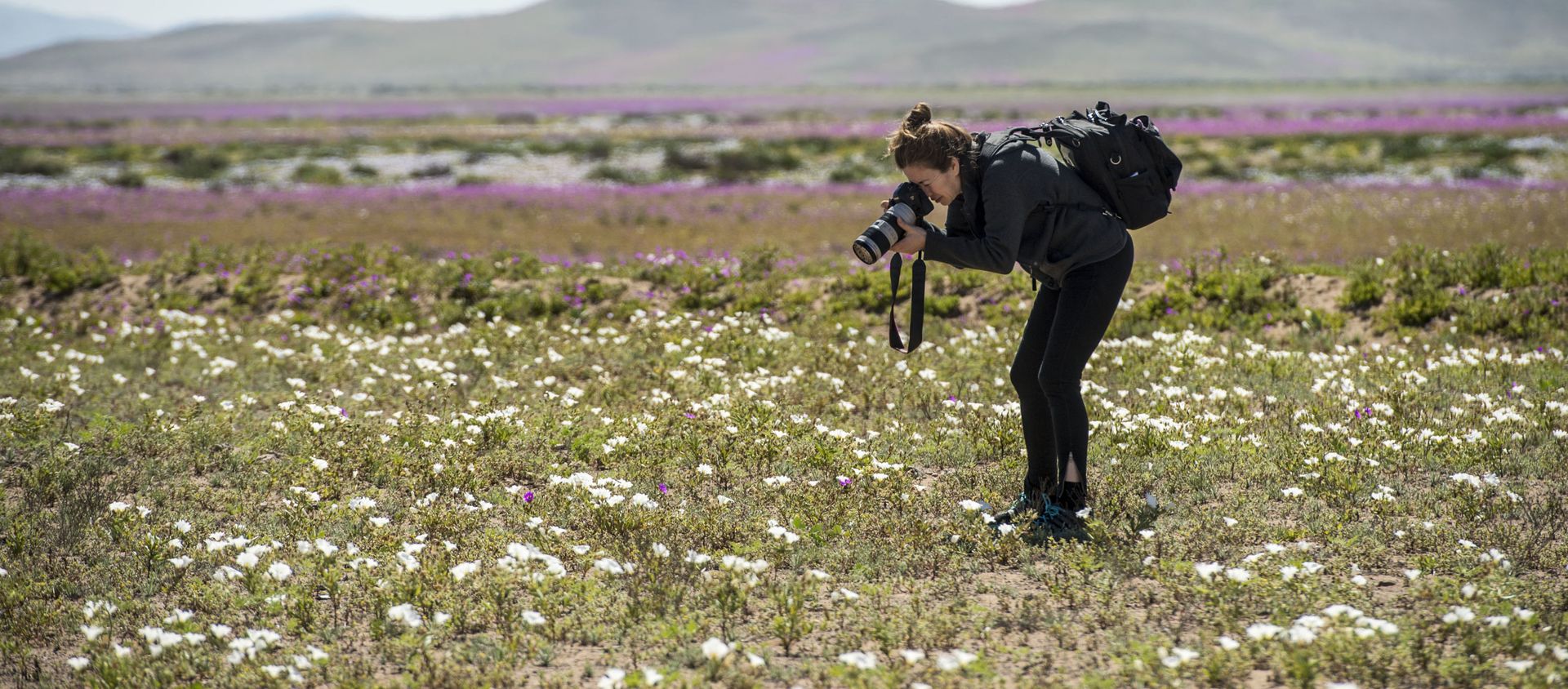 Женщина фотографирует цветы, фото из архива - Sputnik Азербайджан, 1920, 04.12.2020