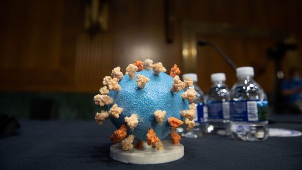  Модель SARS-CoV-2, известная как новый коронавирус - Sputnik Азербайджан