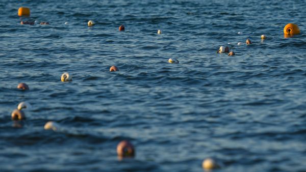 Каспийское море - Sputnik Азербайджан